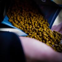 Munch Baits Pelety Citrus Nut Pellet (2)