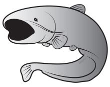 Delphin Nálepka Sumec Silver Delphin Nálepka Sumec Silver