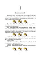 Kniha Kaprík Metlík v športovom rybníku (1)