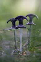 Nash Kolíky Titan Bivvy Pegs 10 ks (4)