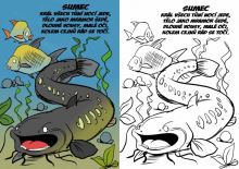 ČRS Rybárske Omaľovánky (4)