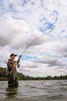 Fox Prút Horizon X4 Cork Handle 3,66 m (12 ft) 2,75 lb (8)