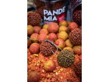 Chytil Boilies Pandémia 20 mm (3)