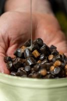 One More Cast Pelety iScream Pellet Mix 1 kg 6 mm & 8 mm (6)