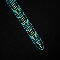 Kumu Mikina Emperor (6)