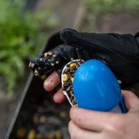 Nash Nahadzovacie Rukavice Spot On Casting Glove (4)