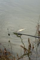 Korum Podberáková Tyč Limitless Power Handle Tele (6)