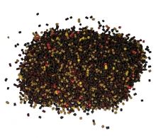 Method Feeder Fans Pellet Mix Set Fluo 2 mm 500 g + Fluo Booster 200 ml (2)