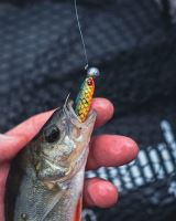 Fox Gumová Nástraha Mini Tiddler Mixed Colour Packs Loaded 4 ks (3)