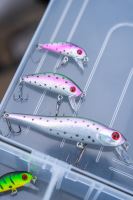 Zebco Wobler Demonic Zanderbait Rainbow 9 cm 9, (1)