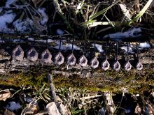 Delphin Olovená Záťaž CyberBARBED TUBE (2)