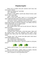 Kniha Kaprík Metlík v rieke (1)