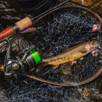 Shimano Navijak Cardiff XR C2000S HG (7)