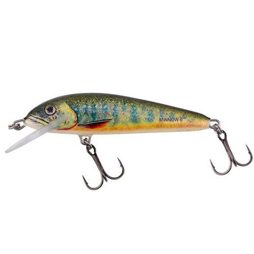 Salmo Wobler Minnow Floating Lake Charr