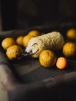 Giants Fishing PVA Náhradná Pančucha Mesh Fast Melt Refill Maxi Pack 50 m (2)