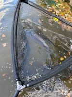 Fencl Kaprový Podberák Carp Classic Polyesterová Sieť 105 cm 42" 2 m Tyč + Obal (1)