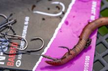 Preston Innovations Háčiky Natural N-60 (7)