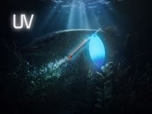 Delphin Rotačka Spear Bloody (3)