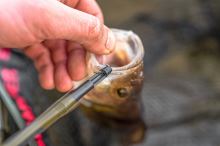 Korum Vyslobodzovač Disgorger Specialist (3)