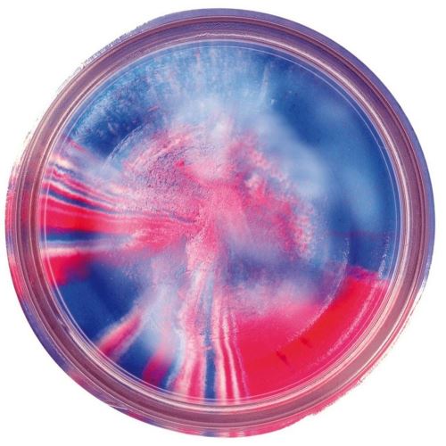 Berkley Cesto Na Pstruhy Natural Glitter Troutbait Cesnak