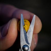 Munch Baits Wafters Citrus Nut 200 ml (2)