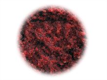 Sportcarp Tvrdené Boilies Hard Ons Mulberry Garlic (3)