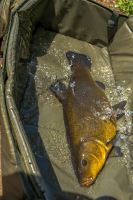 Korum Prepravná Taška/Podložka Opportunist Mat Bag (13)