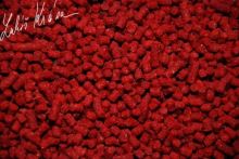 LK Baits Pelety ReStart Wild Strawberry (1)