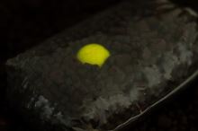 Sticky Baits Plávajúce Boilies Pineapple Pop-Ups 100 g (2)