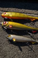 Fox Rage Gumová Nástraha Super Slick Shad Loaded UV Natural Perch (14)