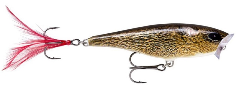 Rapala wobler skitter pop top water fresh fml - 7 cm 7 g