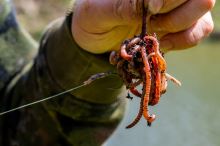 One More Cast Zarážky Tweakers Wormurai Spare Sprigs 24 ks (6)