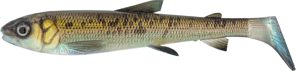 Savage gear gumová nástraha 3d whitefish shad sinking green pearl - 20 cm 62 g