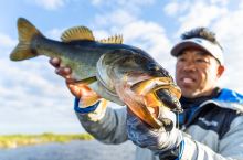 Savage Gear Gumová Nástraha DC Slide Gill Floating Bluegill 6,5 cm 17 g (1)