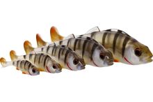 Westin Gumová Nástraha Original Perch Real Perch (1)