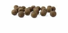 Nash Boilie The Key Stabilised Boilies 1 kg (1)