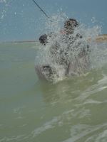 Fox Rage Batoh Pro Series Waterproof Rucksack (24)