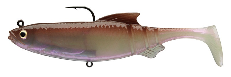 E-shop Daiwa gumová nástraha prorex lazy roach wakasagi rd - 12 cm 29 g