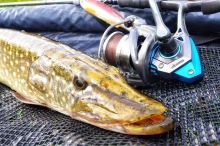 Okuma Navijak Epixor LS Epl 30 FD (1)