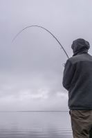 Giants Fishing Prút Fluent MK2 Match 3,6 m 8-25 g 3-Diel (8)