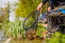 Preston Innovations Podberáková Hlava Carbon Hair Mesh Landing Net (9)