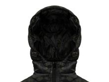 Delphin Bunda Banx (3)