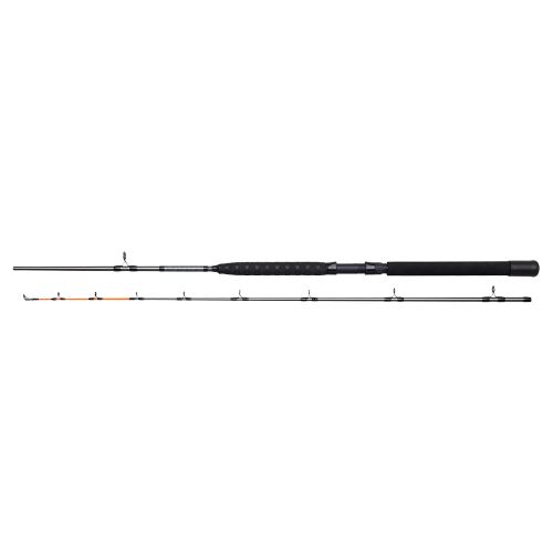 Dam Prút Salmonizer Trolling 2,1 m 10-20 lb