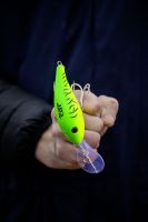 Black Cat Wobler Cranker Firetiger 16 cm 50 g (8)