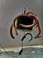 LK Baits Pop Up Pelety v Dipe Sumec Special 38 mm 200 g (3)