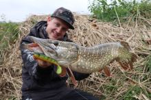 Fox Rage Gumová Nástraha Loaded Zander Pro Shad UV Firetiger (4)