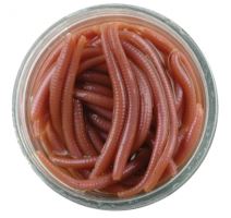 Berkley Hnojové červy (mini-earth worms) (1)