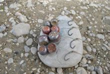 Ashima zmršťovacia ochrana nástrah 18 - 22 mm (1)