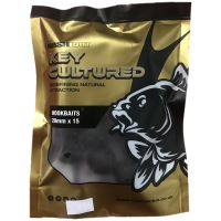 Nash Boilie The Key Cultured Boilies