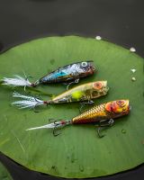 Salmo Wobler Rattlin Pop Clear Holo Smelt 7 cm (5)